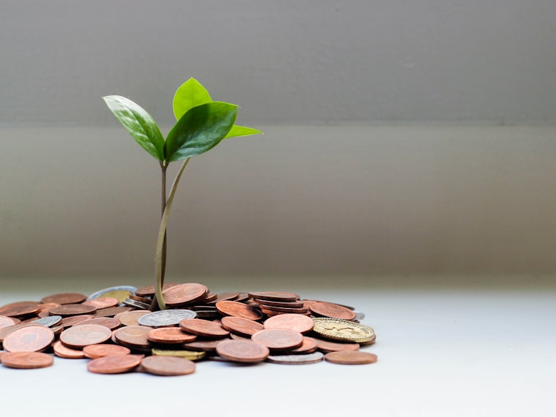 Manage Member Accounts with Ease